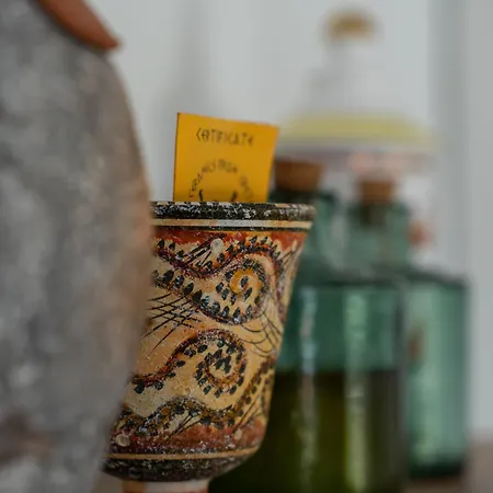 Bruna Villa Sumartin